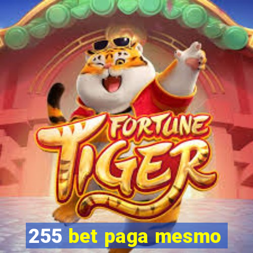 255 bet paga mesmo