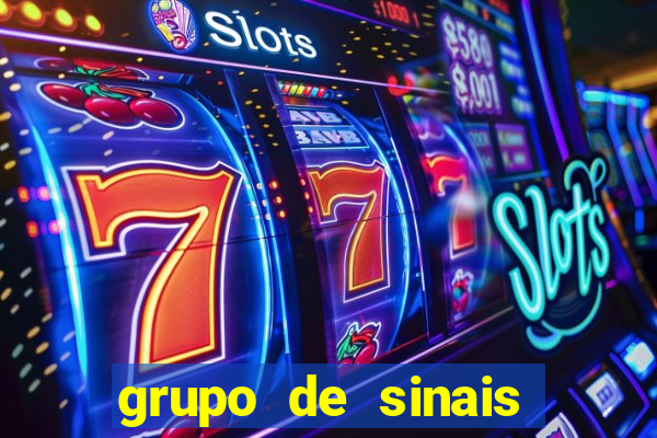 grupo de sinais trader telegram