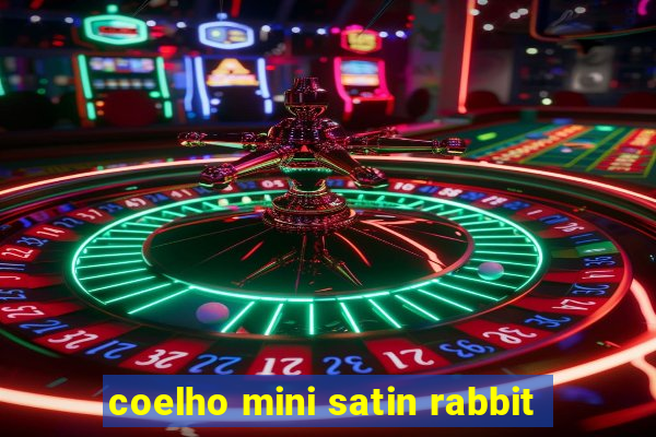 coelho mini satin rabbit