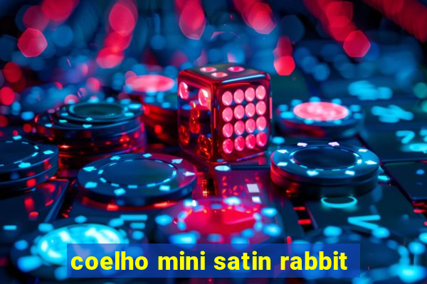 coelho mini satin rabbit