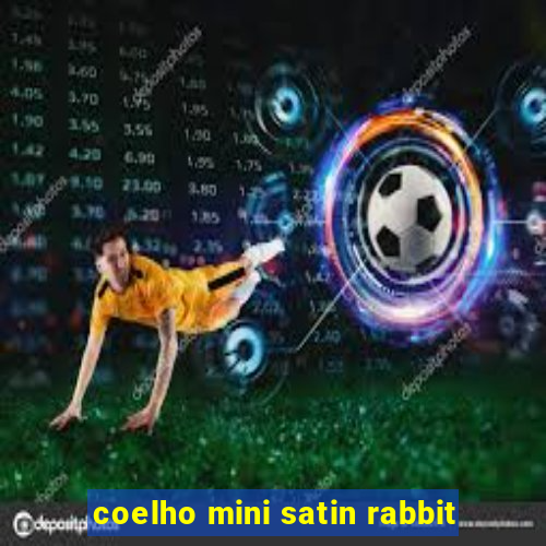 coelho mini satin rabbit