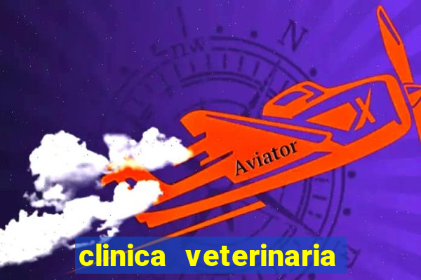 clinica veterinaria cuidar betim