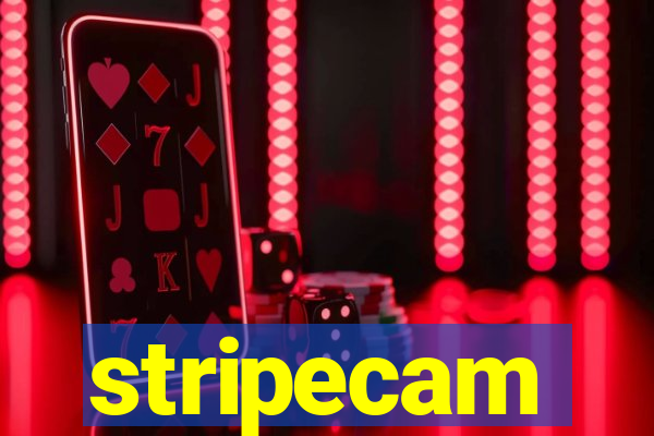 stripecam