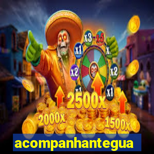 acompanhanteguanambi