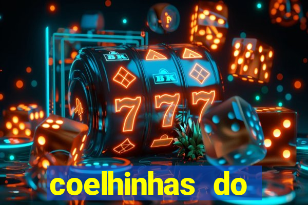 coelhinhas do brasil acompanhantes