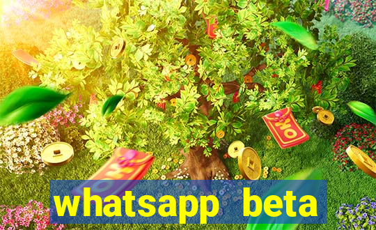 whatsapp beta 3.3.10 2024