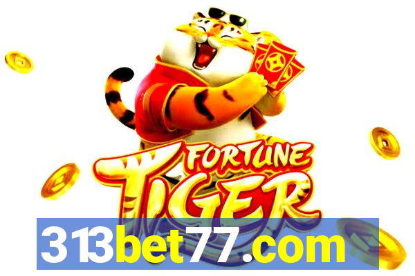 313bet77.com