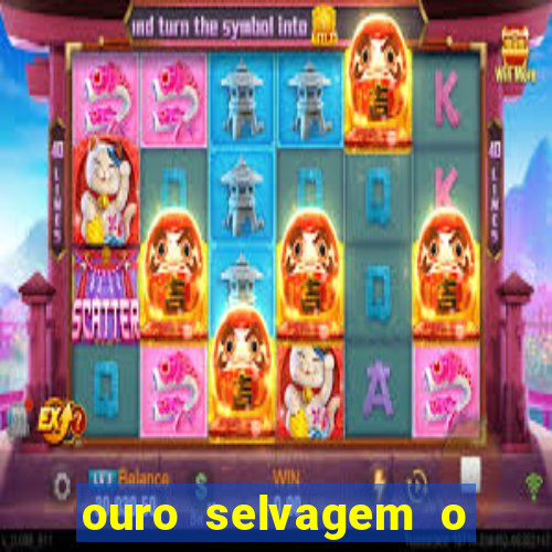 ouro selvagem o que aconteceu na vida