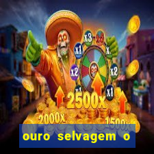 ouro selvagem o que aconteceu na vida