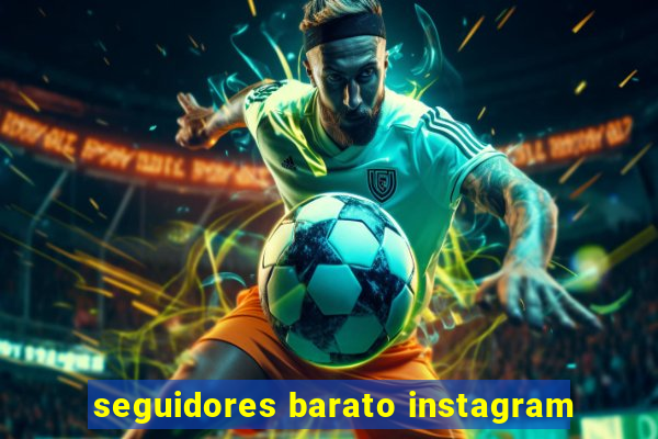 seguidores barato instagram