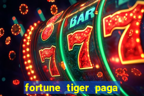 fortune tiger paga de madrugada