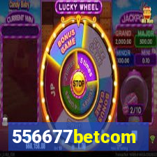 556677betcom