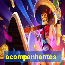 acompanhantes chamada de video