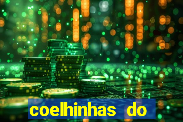 coelhinhas do brasil site