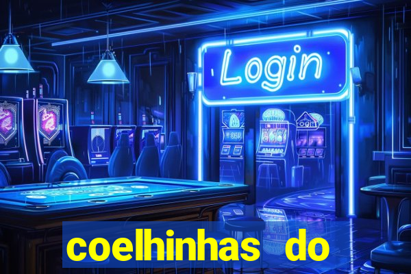 coelhinhas do brasil site