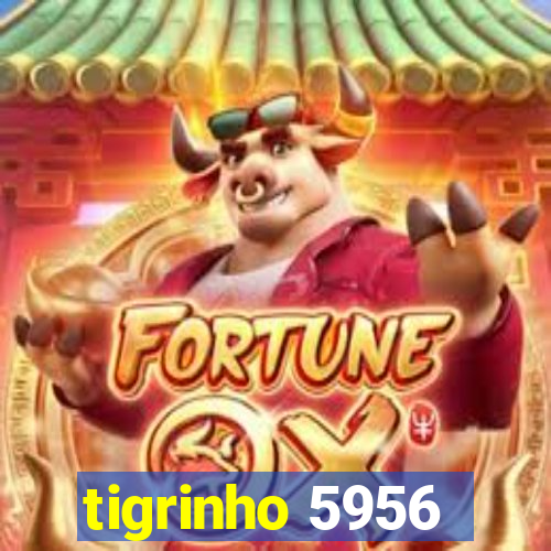 tigrinho 5956