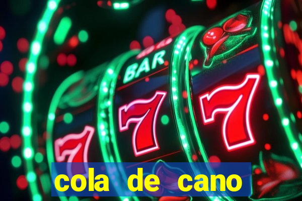 cola de cano quanto tempo para secar