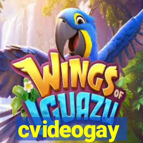 cvideogay