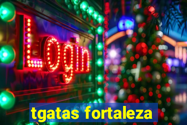 tgatas fortaleza