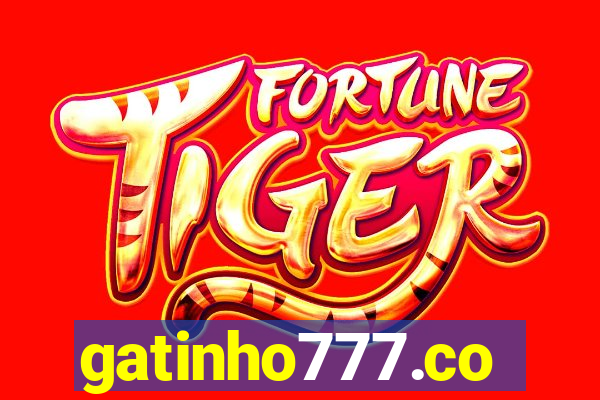 gatinho777.co