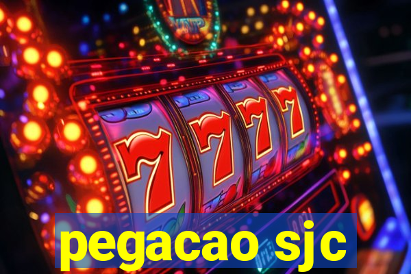 pegacao sjc