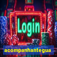 acompanhanteguanambi