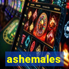 ashemales