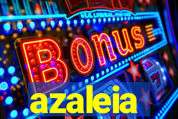 azaleia-br.com