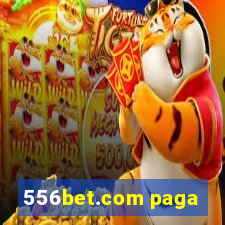 556bet.com paga