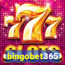 bingobet365