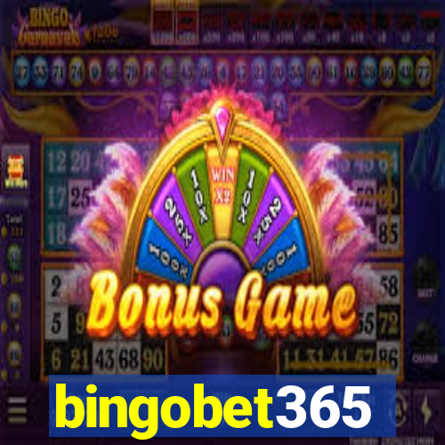 bingobet365