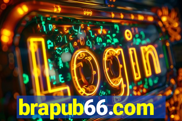 brapub66.com