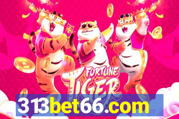 313bet66.com