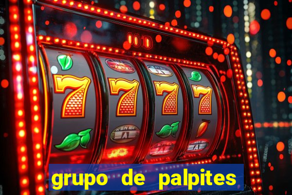 grupo de palpites de futebol telegram