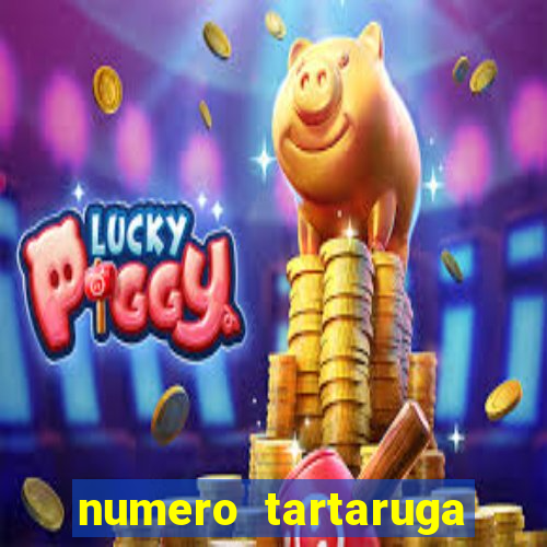 numero tartaruga jogo do bicho