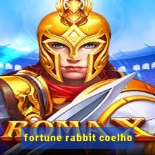 fortune rabbit coelho