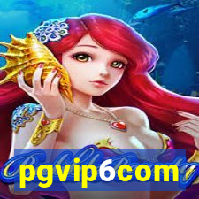 pgvip6com