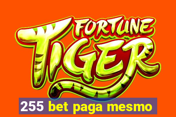 255 bet paga mesmo