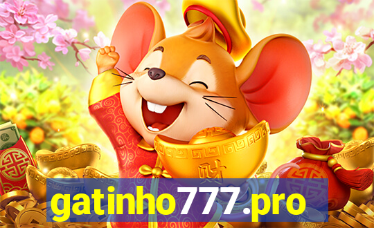 gatinho777.pro