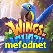 mefodnet