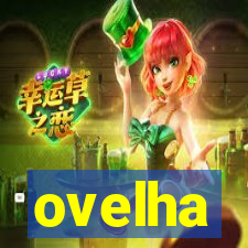 ovelha