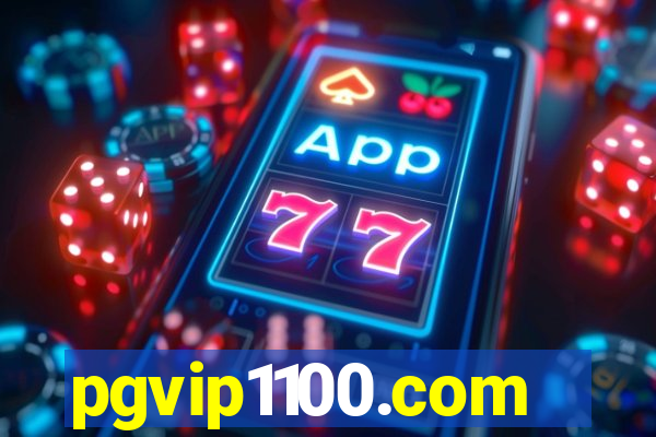 pgvip1100.com