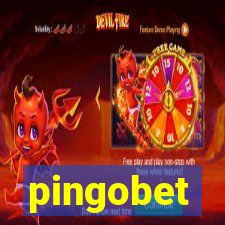 pingobet