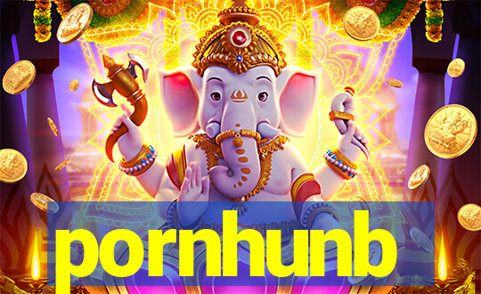 pornhunb