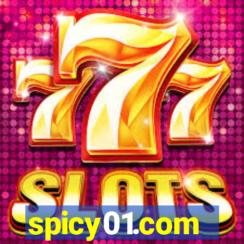 spicy01.com