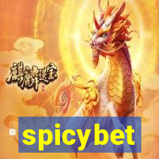 spicybet-1.com