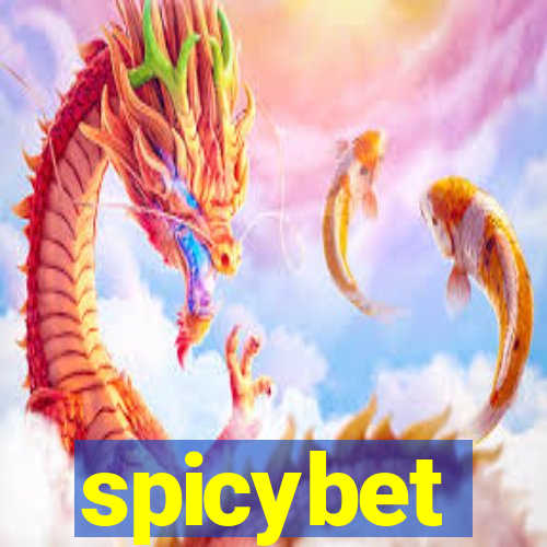 spicybet-2.com