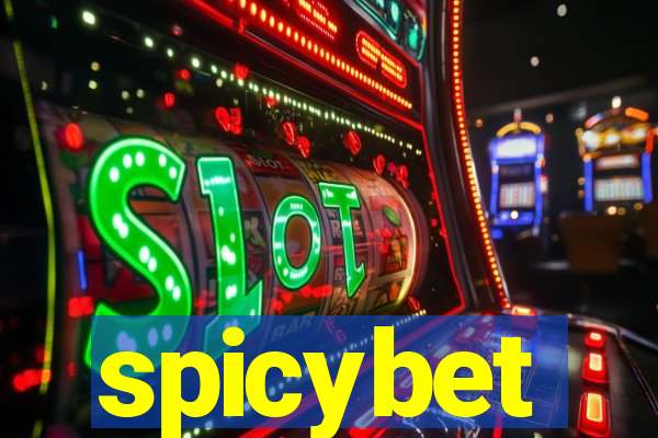 spicybet-2.com