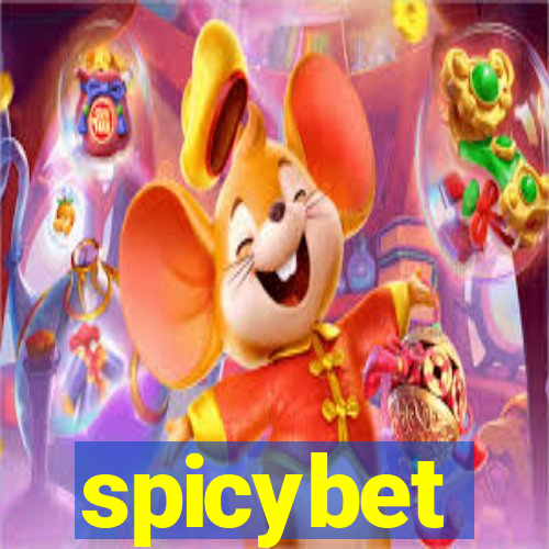 spicybet-3.com