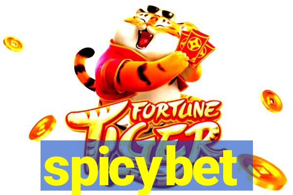 spicybet-4.com